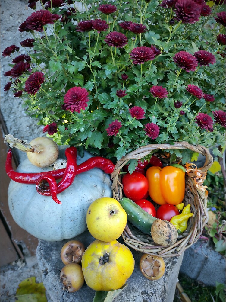 Herbst-Ernte mit Blume von Gourmetkater