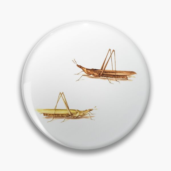 Item preview, Two Grasshoppers  from a 16th Century book on insects. designed and sold by IXXIN.