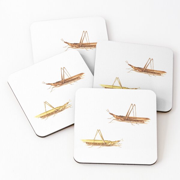 Item preview, Two Grasshoppers  from a 16th Century book on insects. designed and sold by IXXIN.