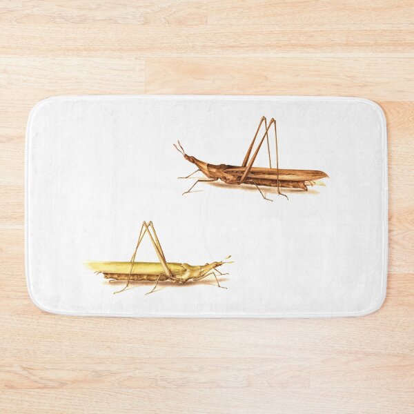 Item preview, Two Grasshoppers  from a 16th Century book on insects. designed and sold by IXXIN.