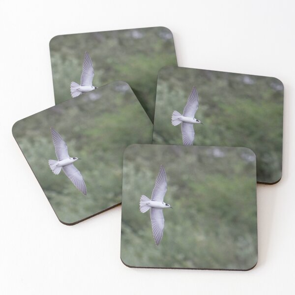 Item preview, Black Tern - Chlidonias niger designed and sold by LaurenTucker.