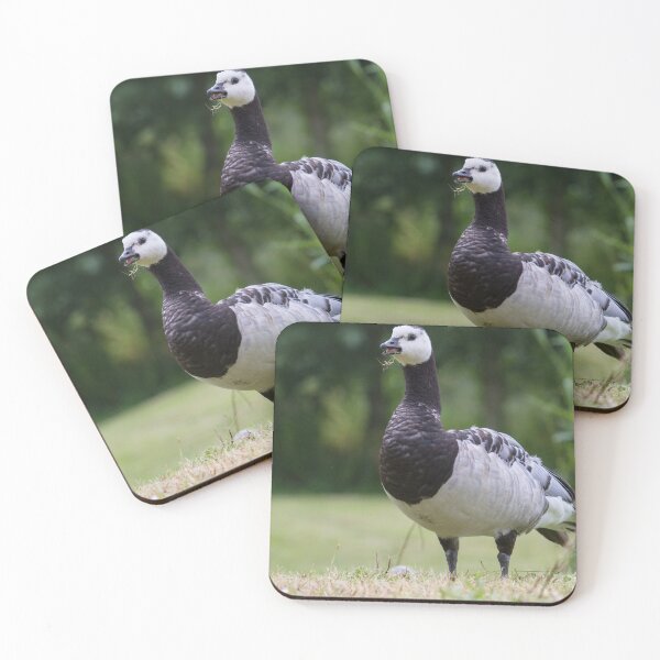 Item preview, Barnacle Goose - Branta leucopsis designed and sold by LaurenTucker.