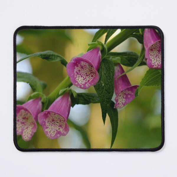 Item preview, Foxglove designed and sold by cuprum.