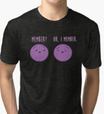 Mitglied Beeren: Mitglied Berry Southpark Fanart Print Vintage T-Shirt