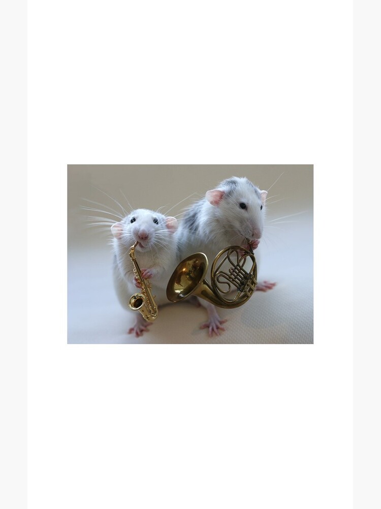 The Band! by Ellen
