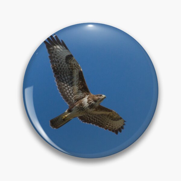 Item preview, Buzzard designed and sold by LaurenTucker.