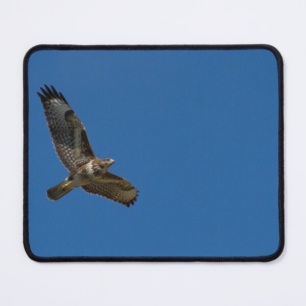 Item preview, Buzzard designed and sold by LaurenTucker.