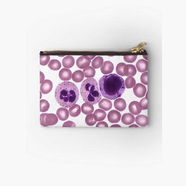Item preview, Red and White Blood Cells, LM designed and sold by ScienceSource.
