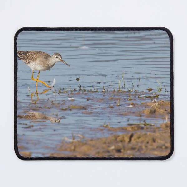 Item preview, Lesser Yellowlegs - Tringa flavipes designed and sold by LaurenTucker.