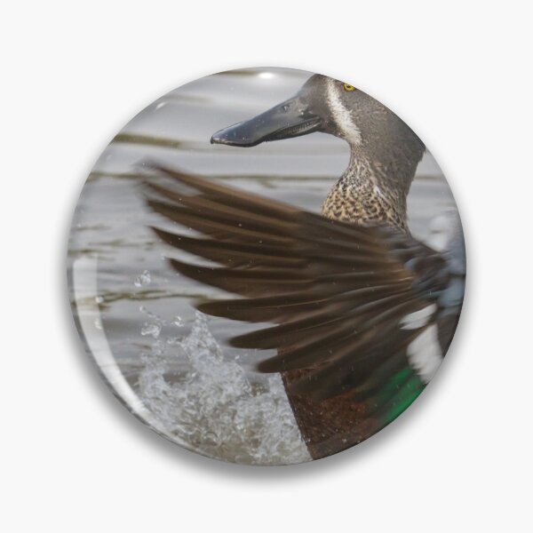 Item preview, Australian Shoveler - Anas rhynchotis designed and sold by LaurenTucker.