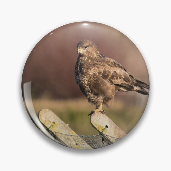 Item preview, Buzzard designed and sold by LaurenTucker.