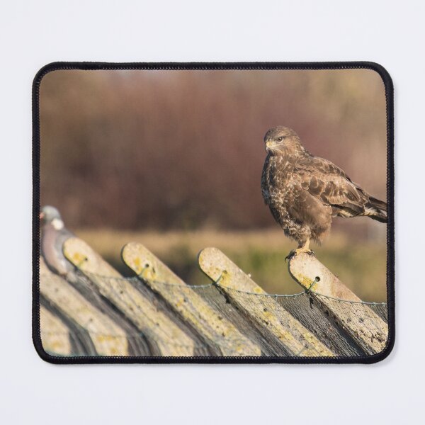Item preview, Buzzard designed and sold by LaurenTucker.