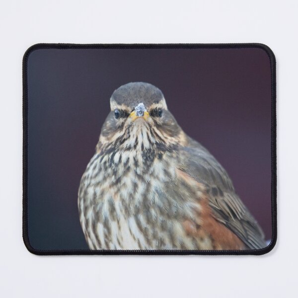 Item preview, Redwing designed and sold by LaurenTucker.