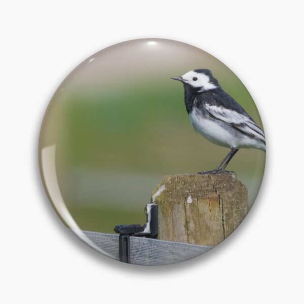 Item preview, Whitethroat - Motacilla alba designed and sold by LaurenTucker.