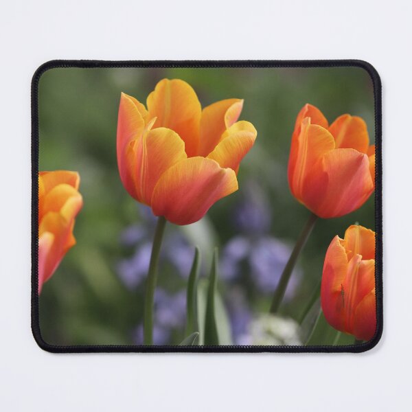 Item preview, Pretty Orange designed and sold by cuprum.