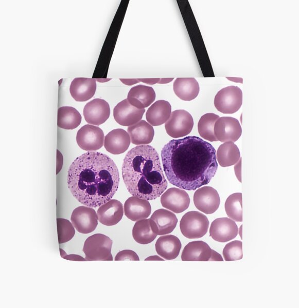 Item preview, Red and White Blood Cells, LM designed and sold by ScienceSource.