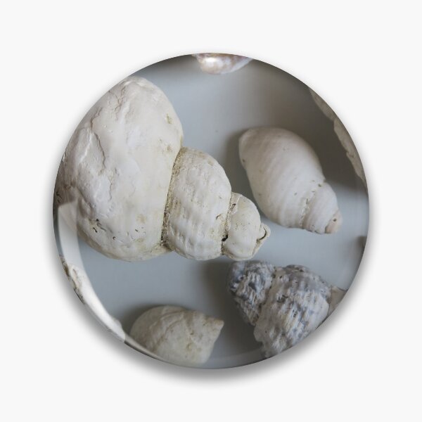 Item preview, Shell colllection designed and sold by S-and-W-4ever.