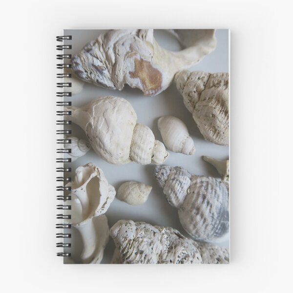 Item preview, Shell colllection designed and sold by S-and-W-4ever.
