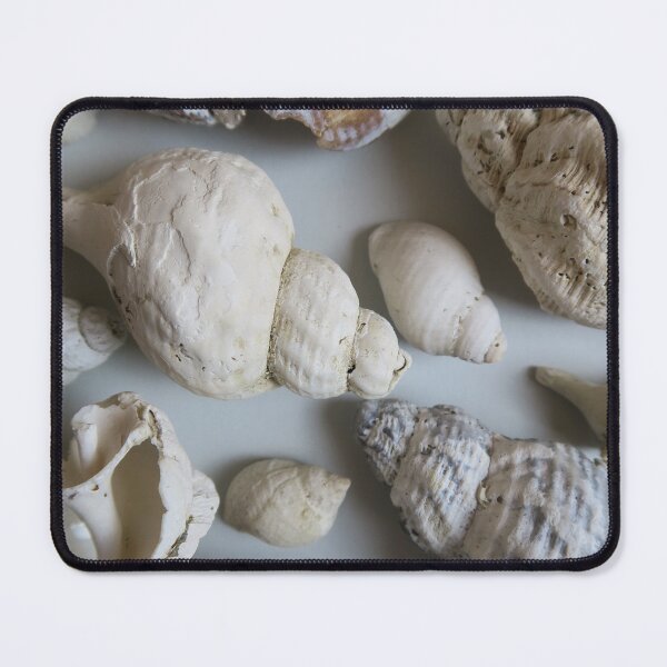 Item preview, Shell colllection designed and sold by S-and-W-4ever.