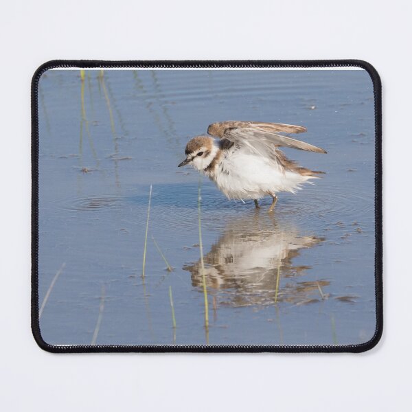 Item preview, Kentish Plover designed and sold by LaurenTucker.