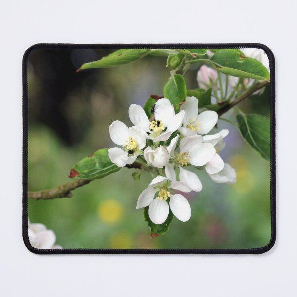 Item preview, Apple Blossom designed and sold by cuprum.
