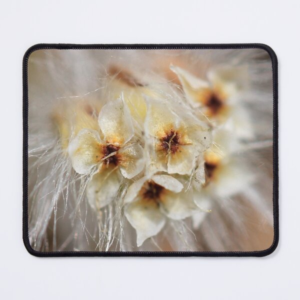 Item preview, Hairy Beauty designed and sold by cuprum.