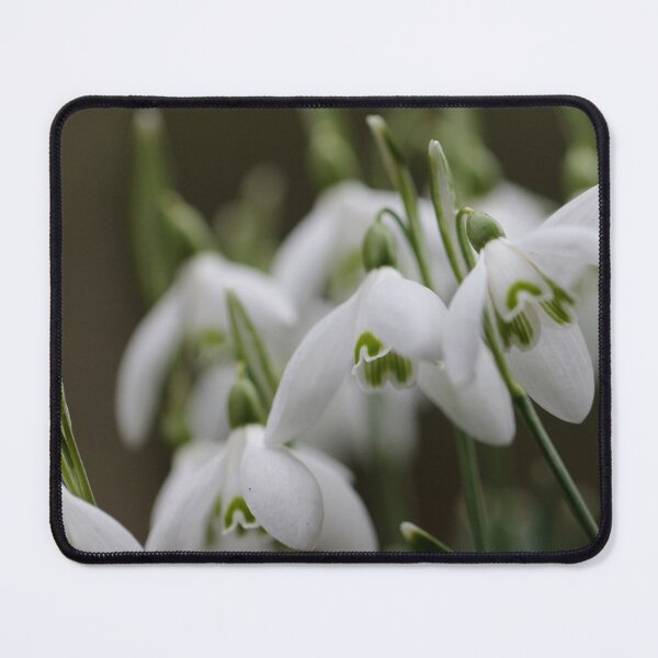 Item preview, Cheering Snowdrops designed and sold by cuprum.