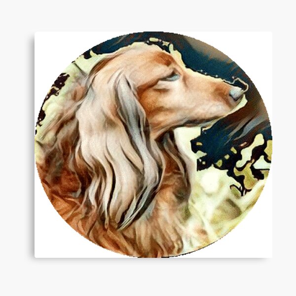 Red long haired Dachshund dog print stretched canvas portrait drawing art memorial loss of dog pet gift