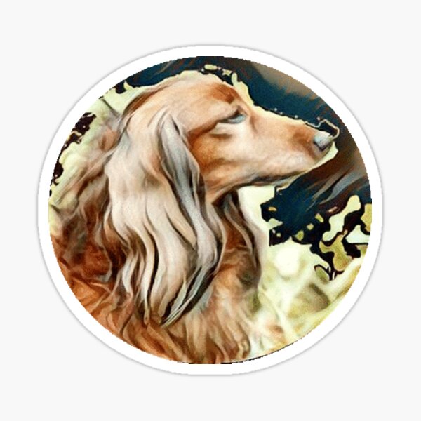 Long-haired Dachshund Portrait Sticker