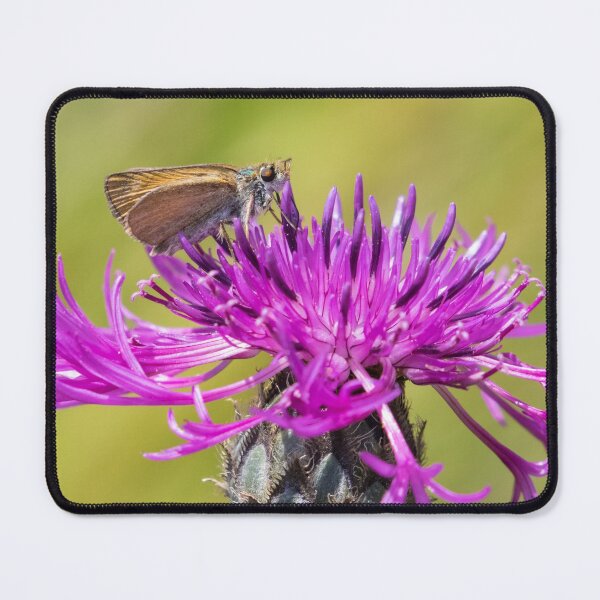 Item preview, Small Skipper designed and sold by LaurenTucker.