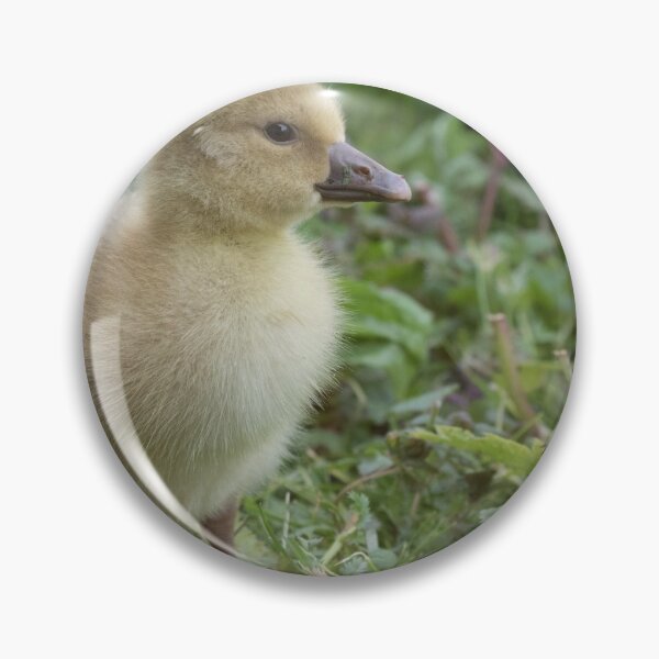Item preview, Branta canadensis designed and sold by LaurenTucker.