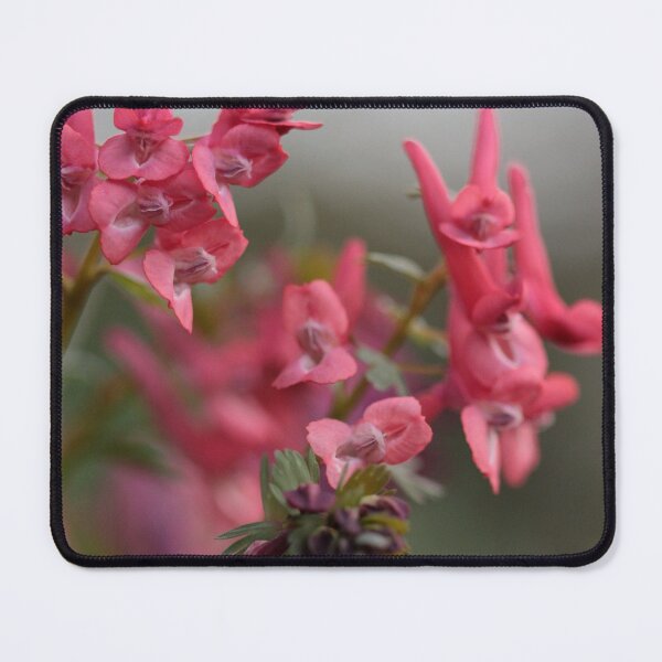 Item preview, Pink Bird in the Bush designed and sold by cuprum.