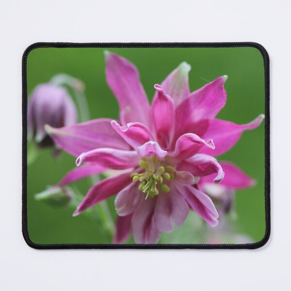 Item preview, Columbine IV designed and sold by cuprum.