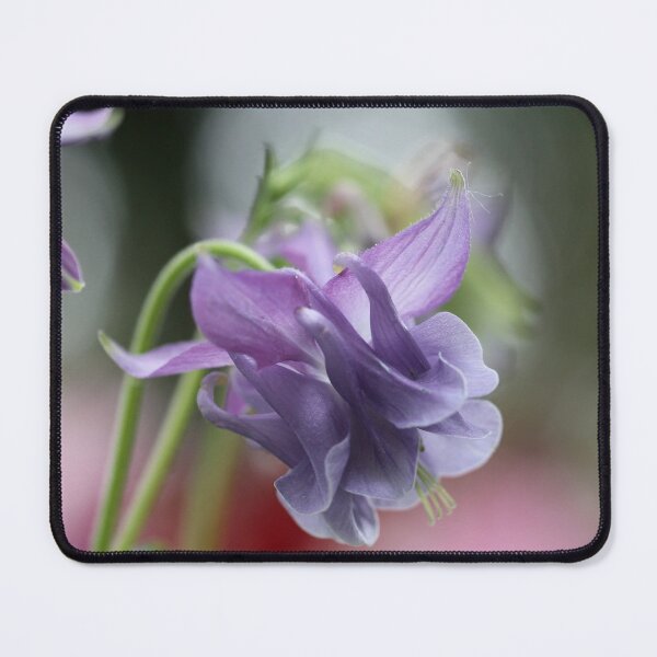 Item preview, Columbine I designed and sold by cuprum.