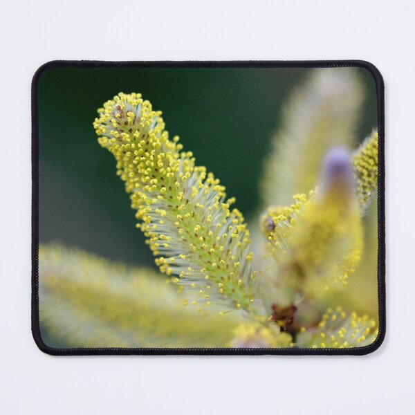 Item preview, Catkin up close designed and sold by cuprum.