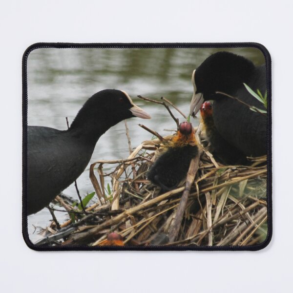 Item preview, Shared parenting designed and sold by cuprum.
