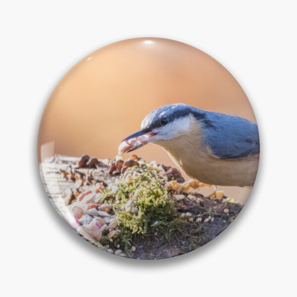 Item preview, Nuthatch designed and sold by LaurenTucker.