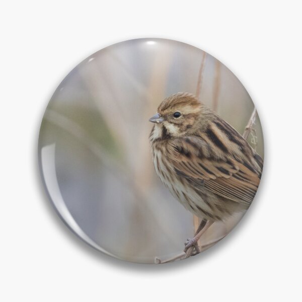 Item preview, Reed Bunting designed and sold by LaurenTucker.