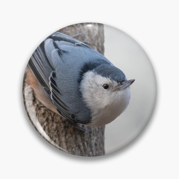 Item preview, White-Breasted Nuthatch designed and sold by LaurenTucker.
