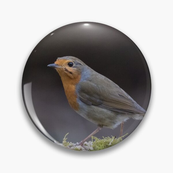 Item preview, Robin designed and sold by LaurenTucker.