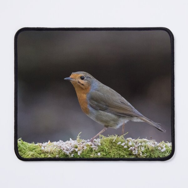 Item preview, Robin designed and sold by LaurenTucker.