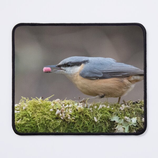 Item preview, Nuthatch designed and sold by LaurenTucker.