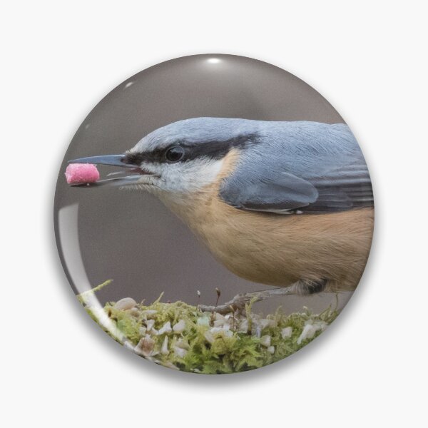 Item preview, Nuthatch designed and sold by LaurenTucker.