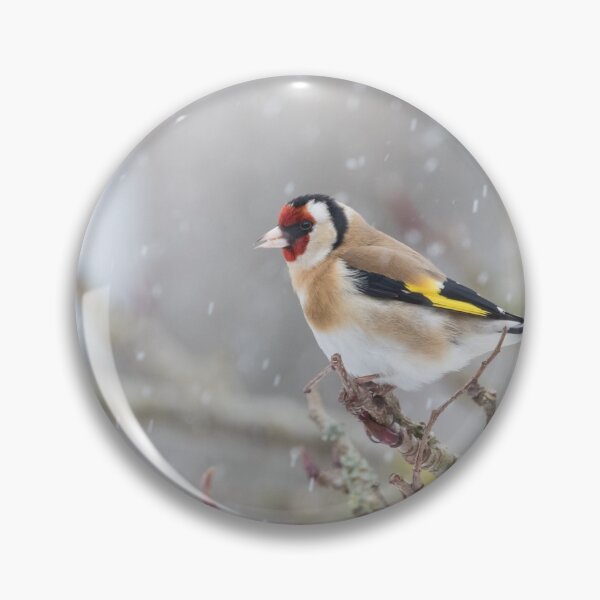 Item preview, Goldfinch designed and sold by LaurenTucker.