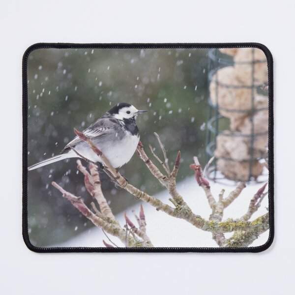 Item preview, Pied Wagtail designed and sold by LaurenTucker.