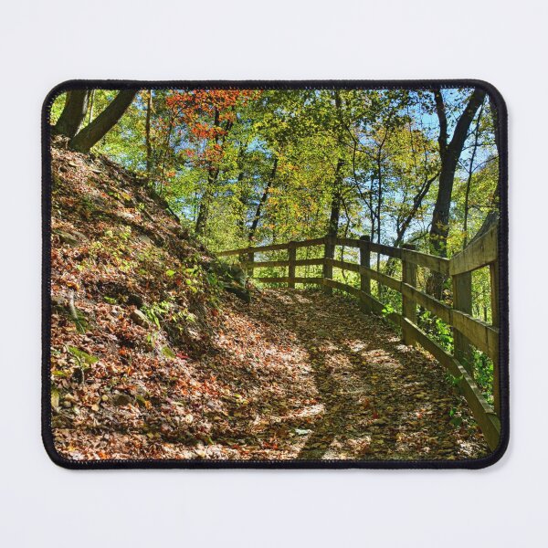 Item preview, Pathway To Autumn designed and sold by LisaWootenPhoto.