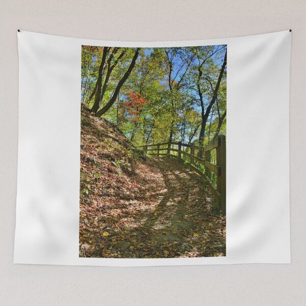 Item preview, Pathway To Autumn designed and sold by LisaWootenPhoto.