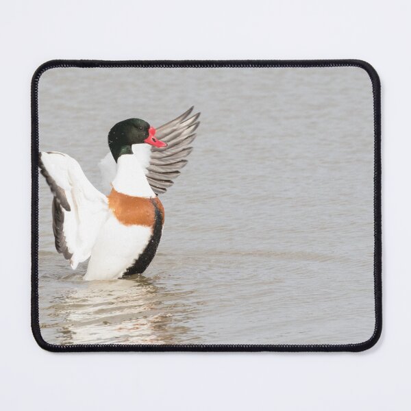 Item preview, Shelduck designed and sold by LaurenTucker.