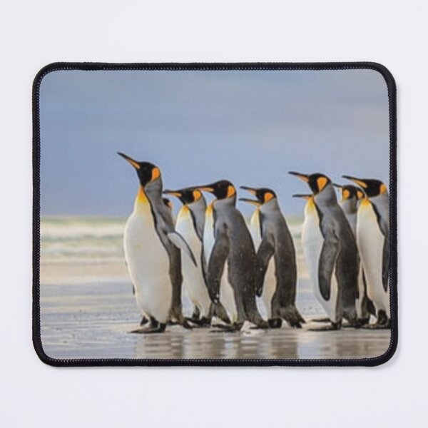 Item preview, Atlantic Penguins designed and sold by Narayan-P.