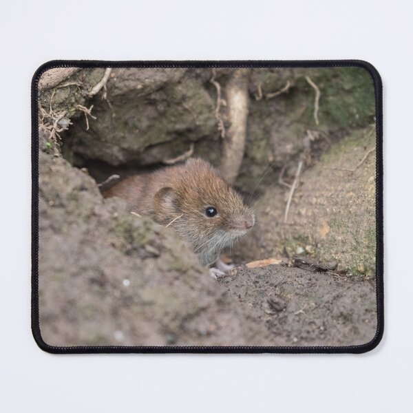 Item preview, Bank Vole designed and sold by LaurenTucker.